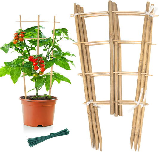 Garden Bamboo Trellis 16 Inch Fan Shaped Small Plant Trellis,Natural Wood Trellis for Climbing Plants Orchid Monstera Indoor Potted Plants-6 Pack