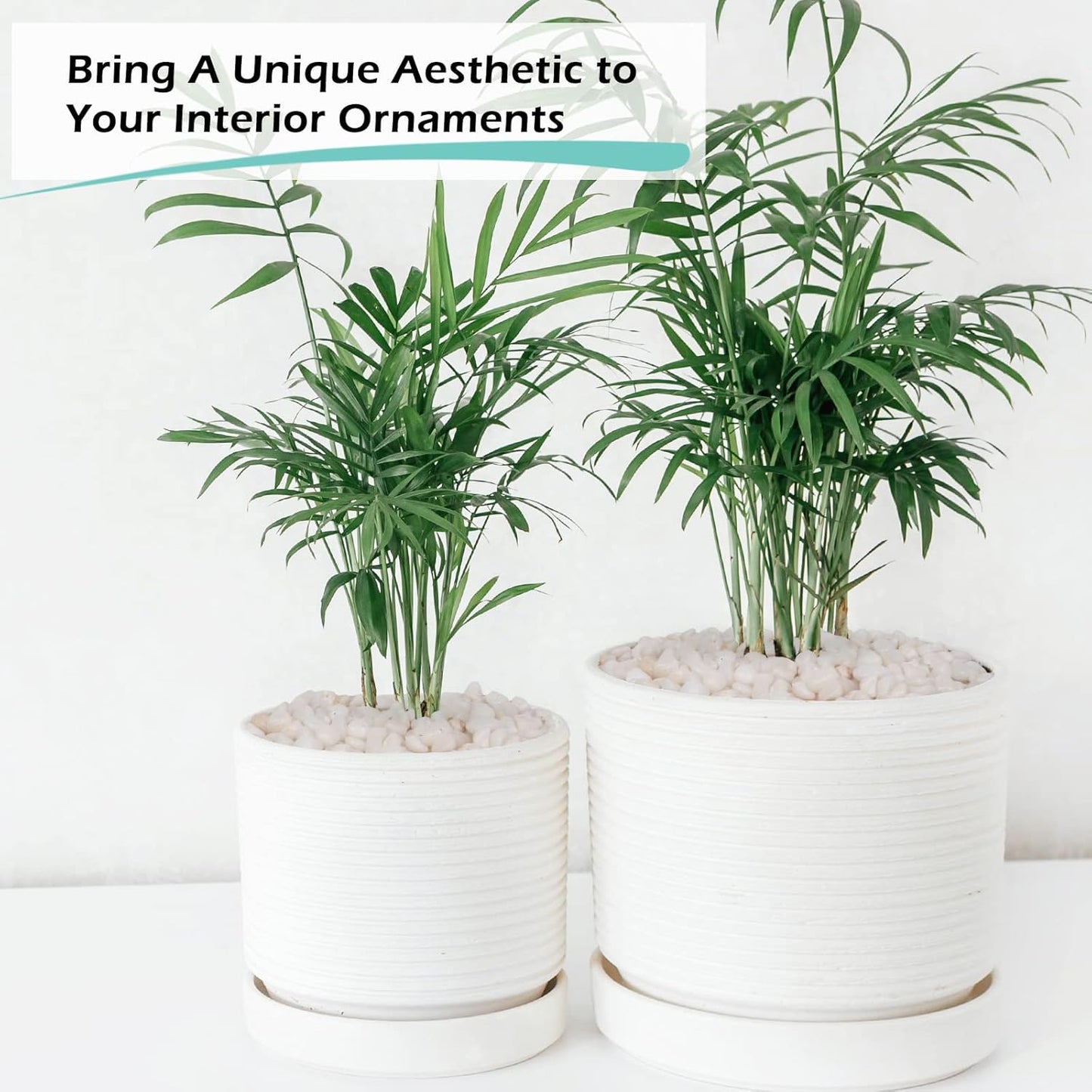 GASPRO 2.5 Pound Pebbles for Indoor Plants, 3/8" Decorative White Rocks for Vases, Planters, Succulents, Highly Polished Aquarium Gravel, Smooth Surface and Fade Resistant