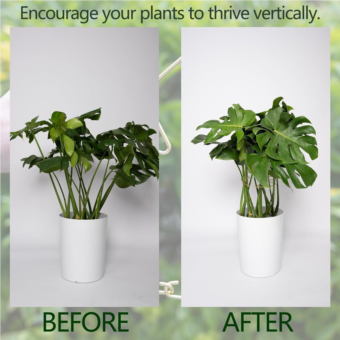 5PCS Durable Monstera Plant Stem Support Stake with Adjustable Leaf Holders - Plant Support Kit for Indoor Botanicals, Cactus Stabilizers, and Turtle Shell Climbers - Ideal for Plant Enthusiasts