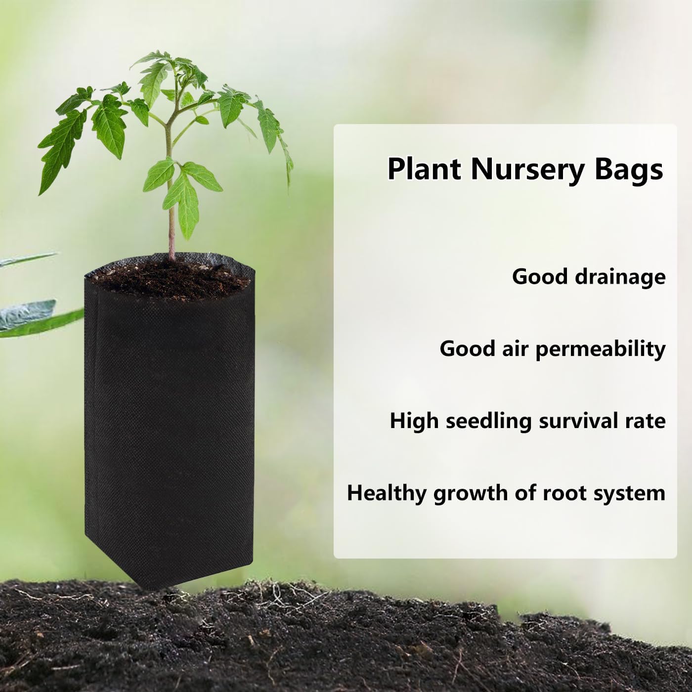Belit 50 Pcs 13.5" H Deep Nursery Grow Bags, Non-Woven Plants Pots Container for Starting Deep Rooted Plants Vegetable, Flower, Seedling Tree, Black
