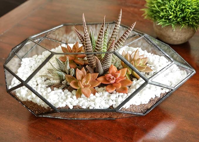 Ferrisland Handmade 10" Large Glass Terrarium Irregular Geometric Planter Indoor Air Plants Holder Window Balcony Display Succulent Flower Pot, Black