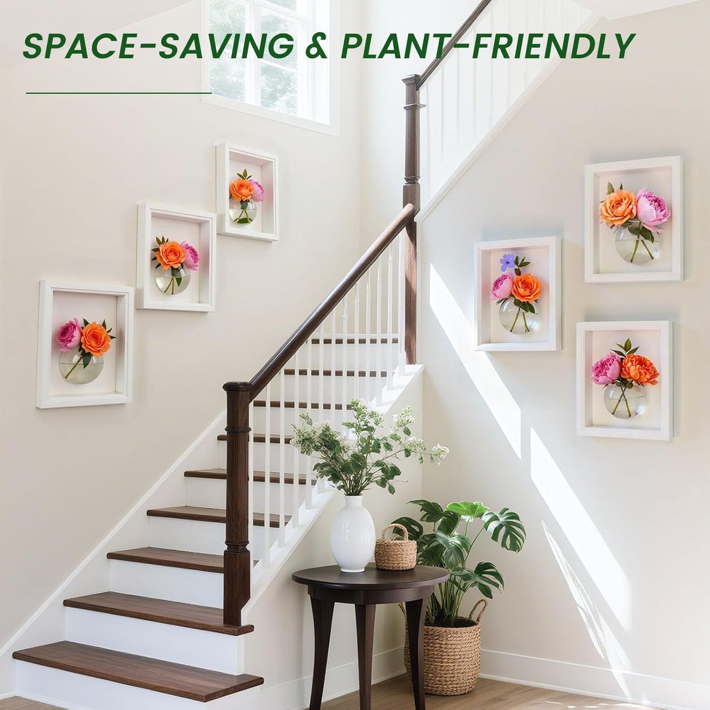 DomeStar 6PCS Wall Vases, Clear Planter Terrarium Station Wall Mounted Hanging Glass Vases for Home Office Living Room Decor Hydroponics Plants Propagation