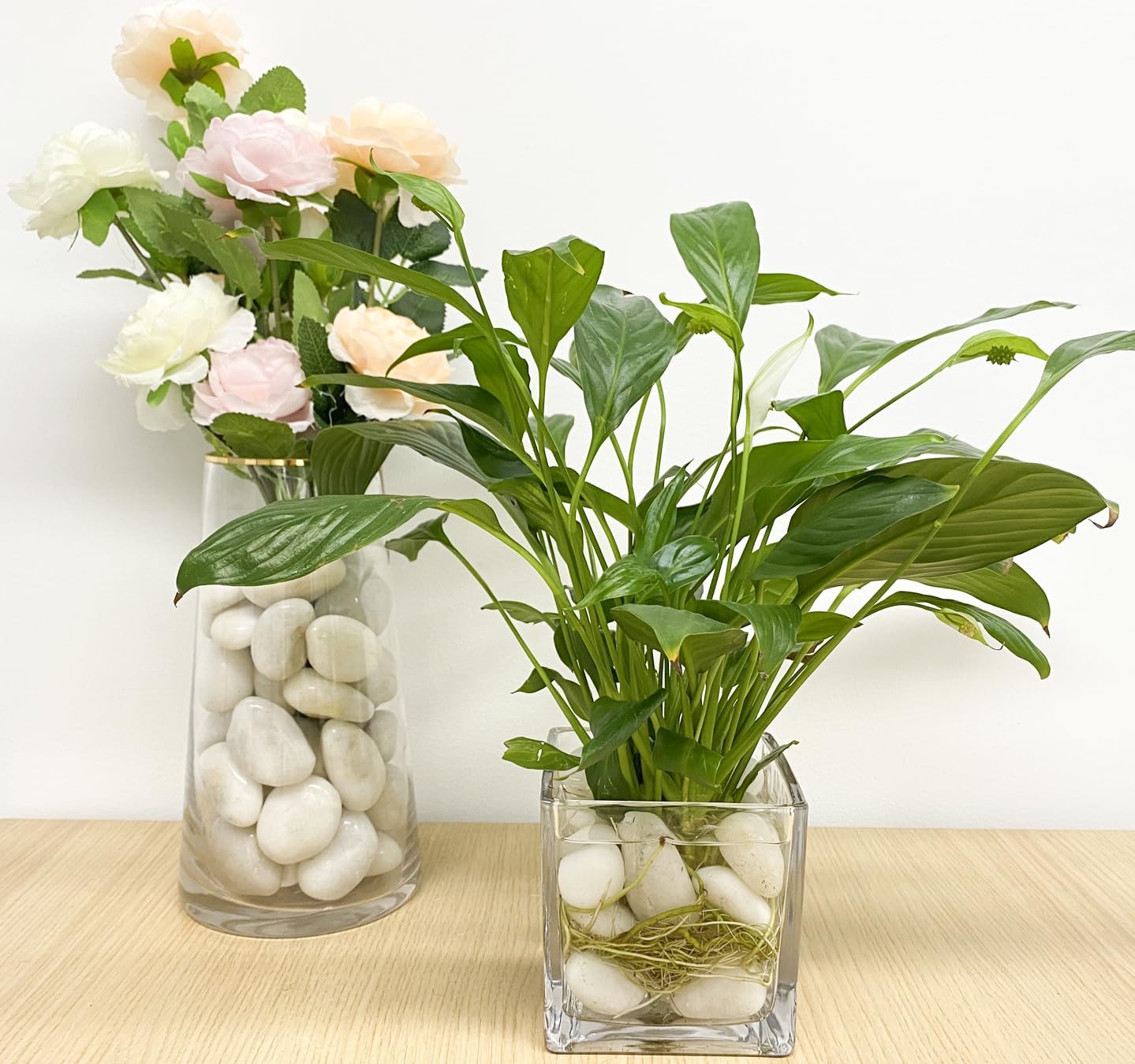 20 lbs White Pebbles for Indoor Plants, 0.8-1.2 inch Small River Rocks for Plants. Decorative White Stones for Planters Vase Fish Tank and Outdoor Garden Landscaping Rocks