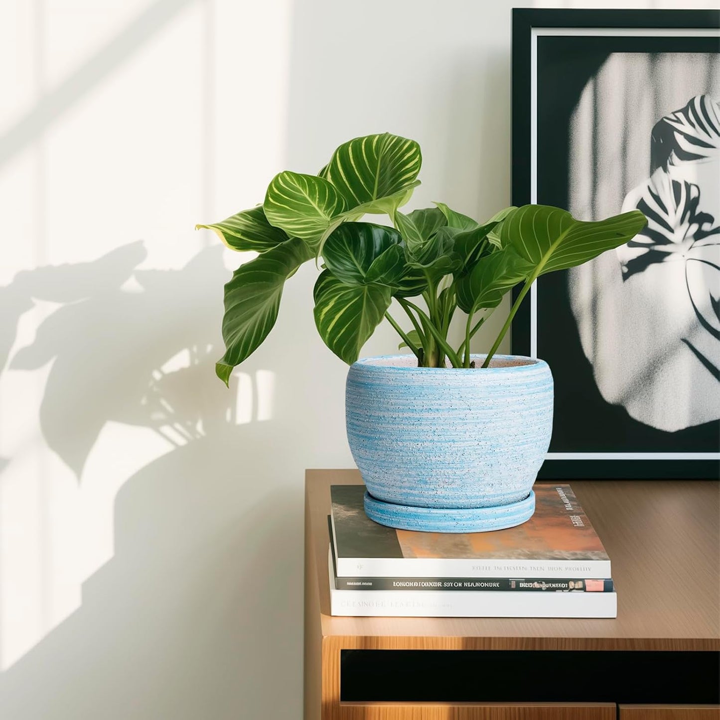 SQOWL Ceramic Planters for Indoor Plants - 6 Inch Plant Pot Indoor Outdoor, Decorative Flower Pot with Drainage Hole and Saucer, Round Succulent Planter, Home Apartment Decor, Garden Gifts, Blue