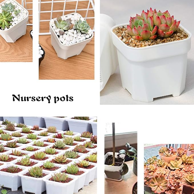 OJYUDD 3inch White Square Plastic Pots with Saucer, Drainage Hole, 24 Pcs, for Flower/Plant, Home,Company,Office and Garden(White)