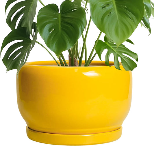 SQOWL 10 Inch Plant Pot - Ceramic Planter with Drainage Hole and Saucer, Modern Large Flower Pot for Indoor Outdoor Plants, Decorative Round Planter, Home Decor, Gifts for Gardeners Woman, Yellow