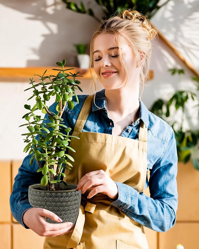 Plant Pots, Flower Pots, Planters for Indoor Plants(6.5+5.5inch), Flower Pots for Indoor Plants with Drainage Hole and Saucer, Ceramic Pots for Plants with Hole Mesh Pad,Reactive Glaze Green