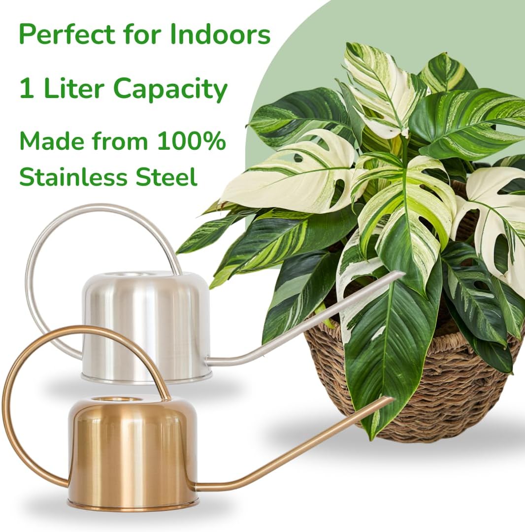 Stainless Steel Watering Can for Houseplants by Houseplant Resource Center | 1L Capacity for Indoor/Outdoor Plants in Brushed Gold