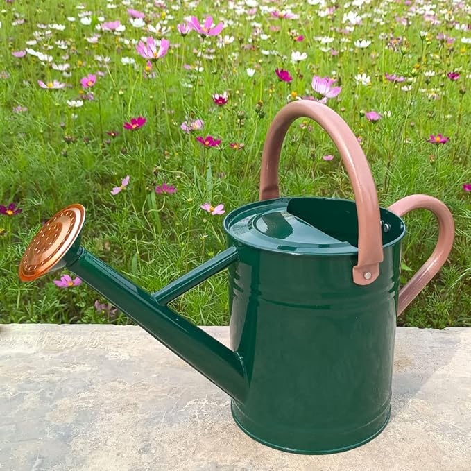 Metal Watering Can for Outdoor and Indoor Plants, Watering Can Decor, 1 Gallon (NewGreen)