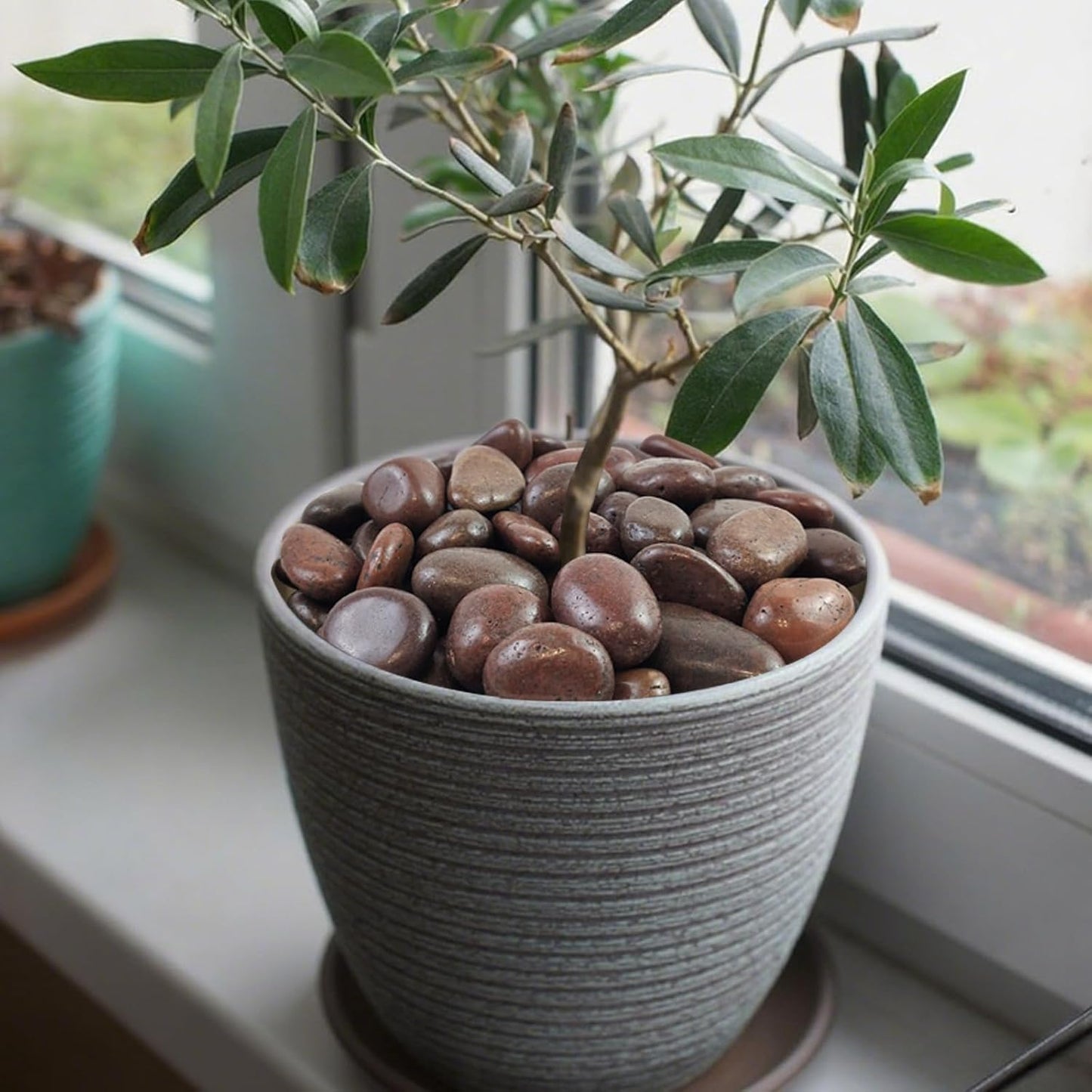 40 lbs Red River Rocks for Landscaping, 2-3 Inch Polished Pebbles for Indoor Plants, Decorative Rocks Stones for Vases, Aquariums, Fountains, Pathways, Backyard and Garden