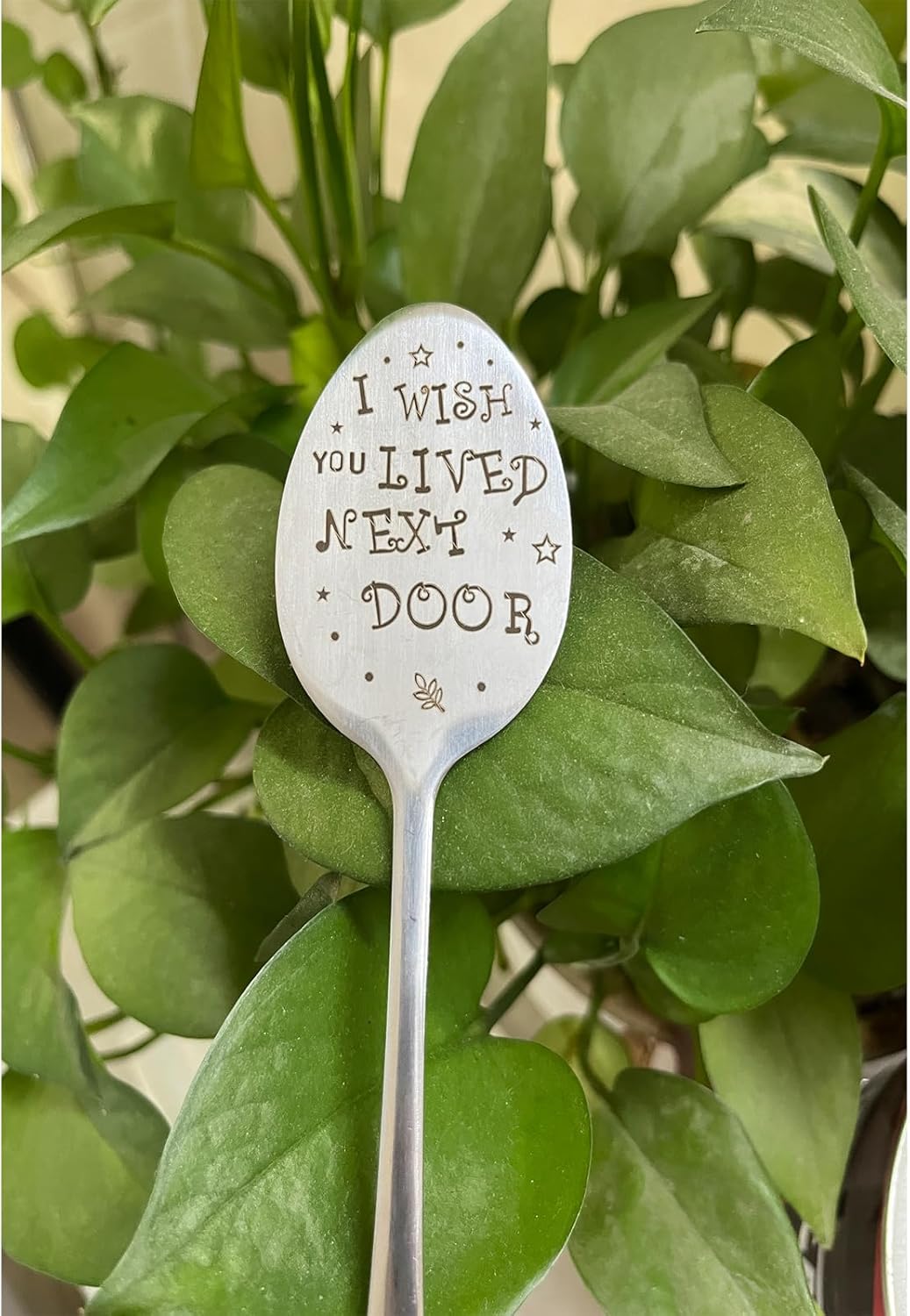 Garden Friendship Gift for Women Gardeners, Plant Marker Stake Label Sign Tag, Gardening Gifts for Woman Lovers, Metal Garden Decoration (Live Next Door)