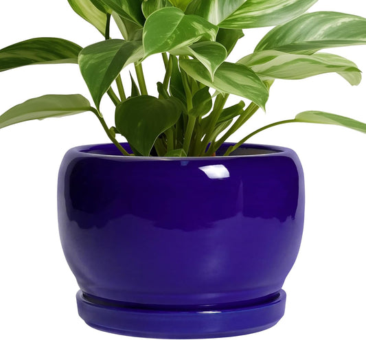 SQOWL 8 Inch Plant Pot - Ceramic Planter for Indoor Plants Outdoor, Ceramic Flower Pot with Drainage Hole and Saucer, Modern Round Planter, Bathroom Decor, Gifts for Plant Lovers, Blue