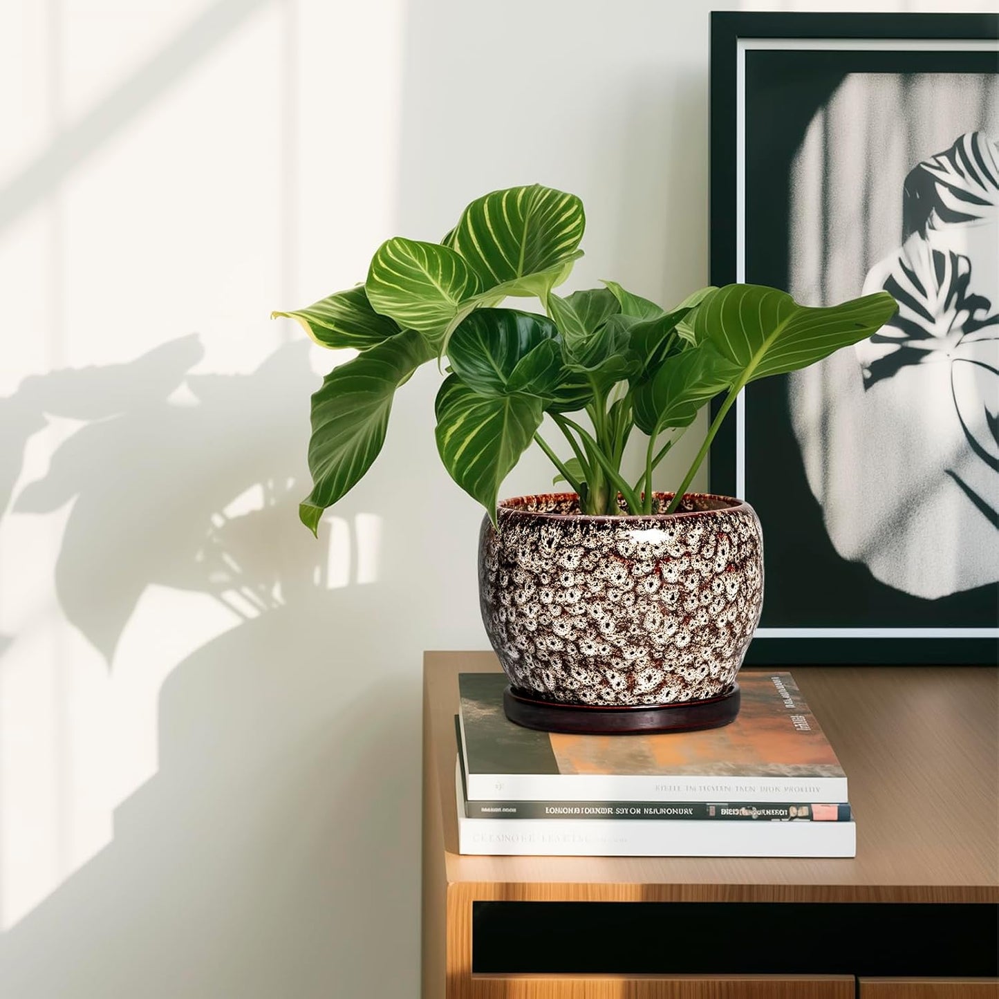 SQOWL Ceramic Plant Pots - 6 Inch Ceramic Planter for Indoor Outdoor, Small Flower Pots with Drainage Hole and Saucer, Decorative Round Planter, Home Office Decor, Plant Lover Gifts, White