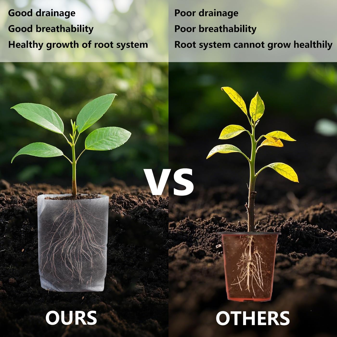 Belit 50 Pcs Non-Woven Plant Nursery Bags, Seedling Pots Container for Vegetable, Flower, Starting saplings, Plant Grow (11.6"x11.2")