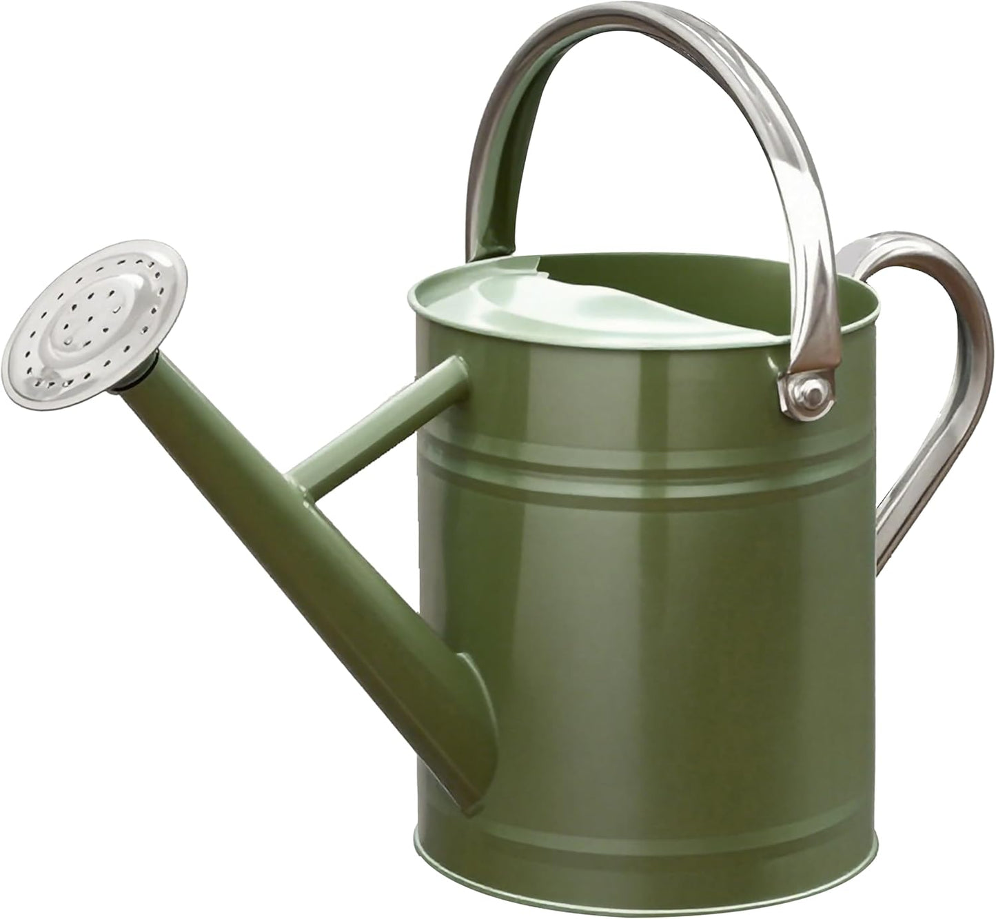 Metal Watering Can, One Gallon Watering Cans Stainless Steel for Outdoor Indoor Garden Plants Watering (Emerald Green)