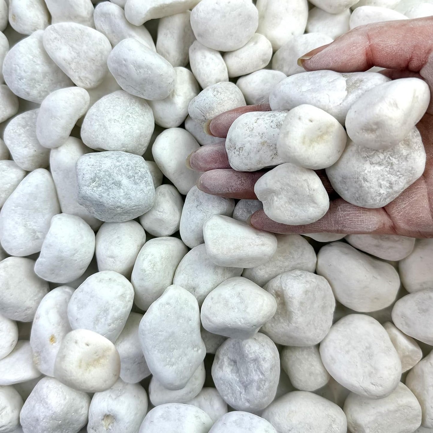 40 lbs White Rocks for Landscaping, 1-2 Inch White Gravel. Decorative Pebbles Stones for Plants, Vases, Craft and Garden