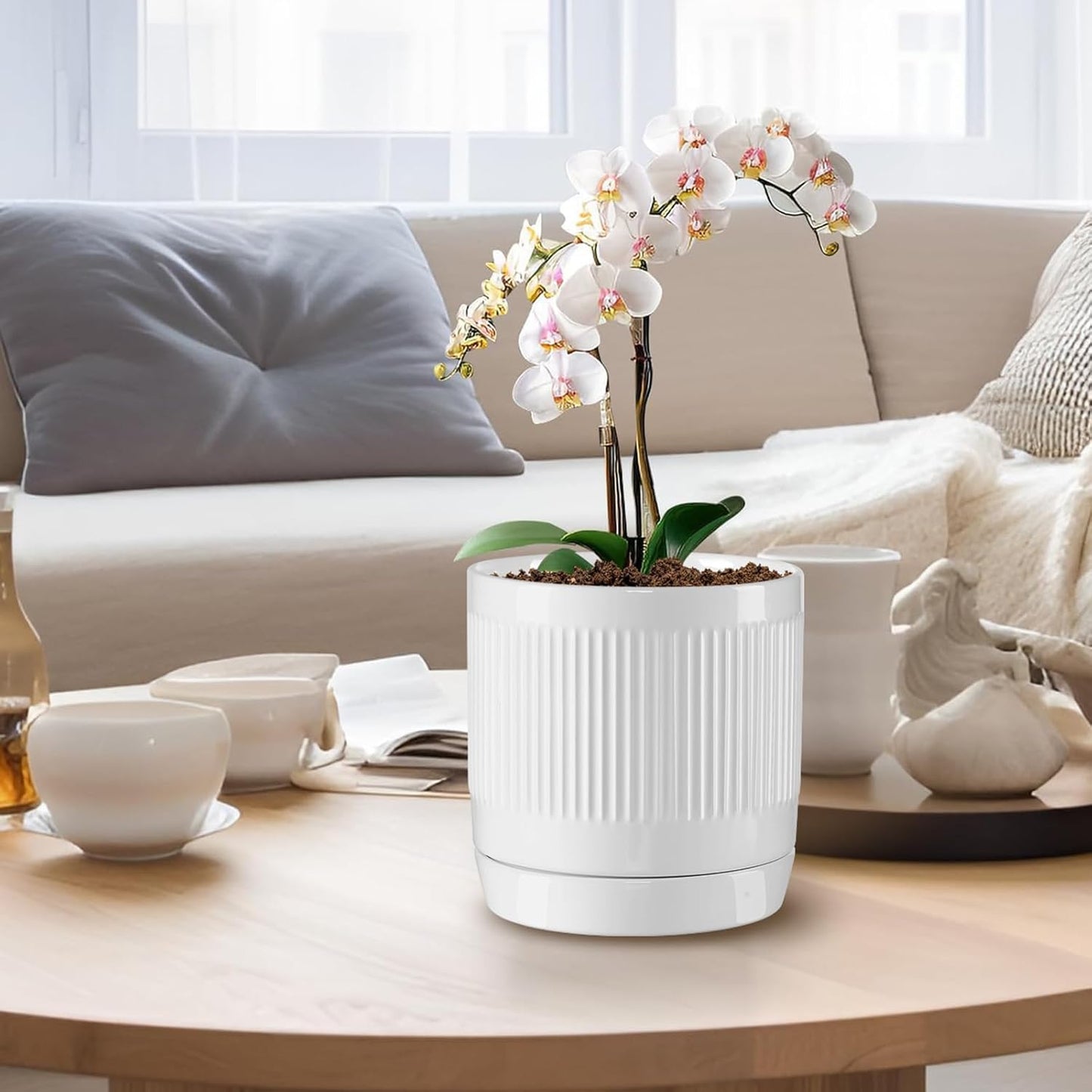 Vanavazon Ceramic Planter Pots for Indoor Plants with Drainage Hole and Saucer,6 Inch Cylinder Plant Pots,Glazed Finish Interior and Exterior,Set of 2 (White)