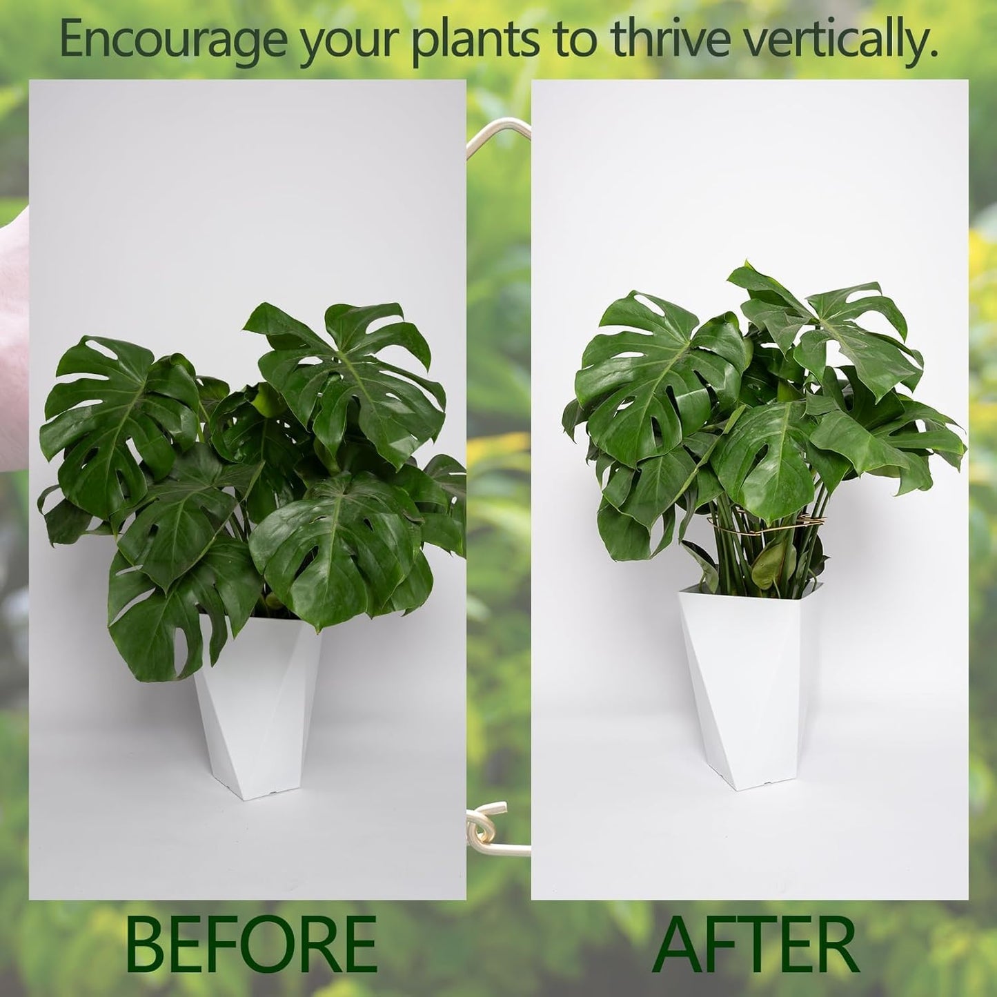 5PCS Monstera Plant Stem Support with Leaf Holders - Innovative Cactus Stake for Indoor Plants - Unique Plant Support Kit for Healthy Growth - Ideal for Gardening Enthusiasts