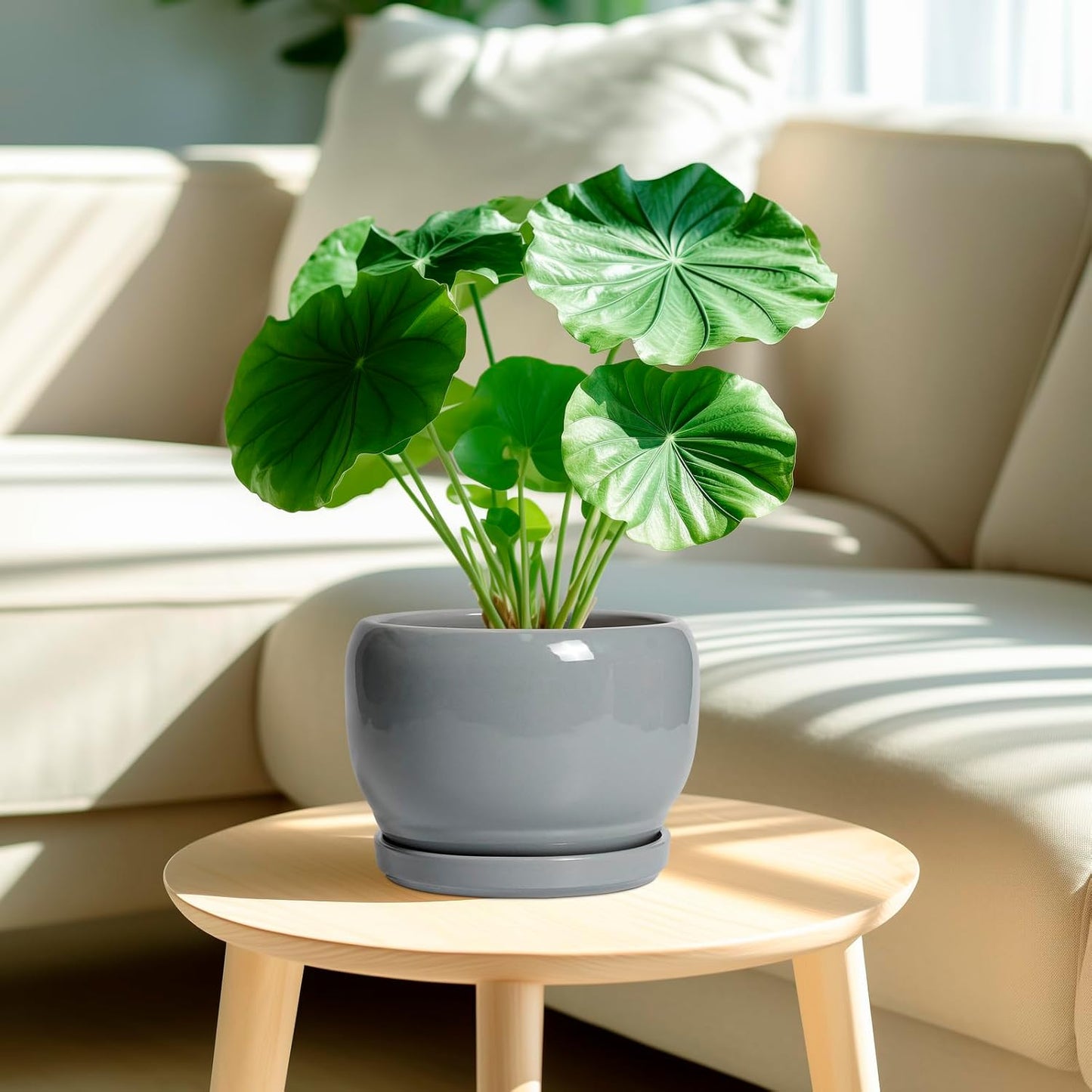 SQOWL Ceramic Pot for Plants - 8 Inch Plant Pot Indoor with Drainage Hole and Saucer, Round Planter Outdoor, Decorative Modern Planter for Flower, Bedroom Decor, Plant Lovers Gifts, Gray