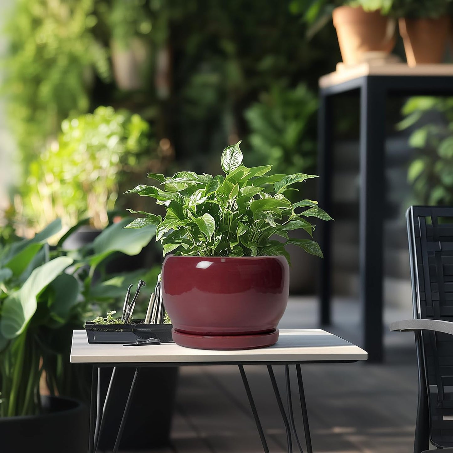 SQOWL Ceramic Planter - 8 Inch Plant Pot with Drainage Hole and Saucer, Round Planter for Indoor Outdoor Plants, Modern Decorative Flower Pots, Home Decor, Plant Lover Gifts, Red