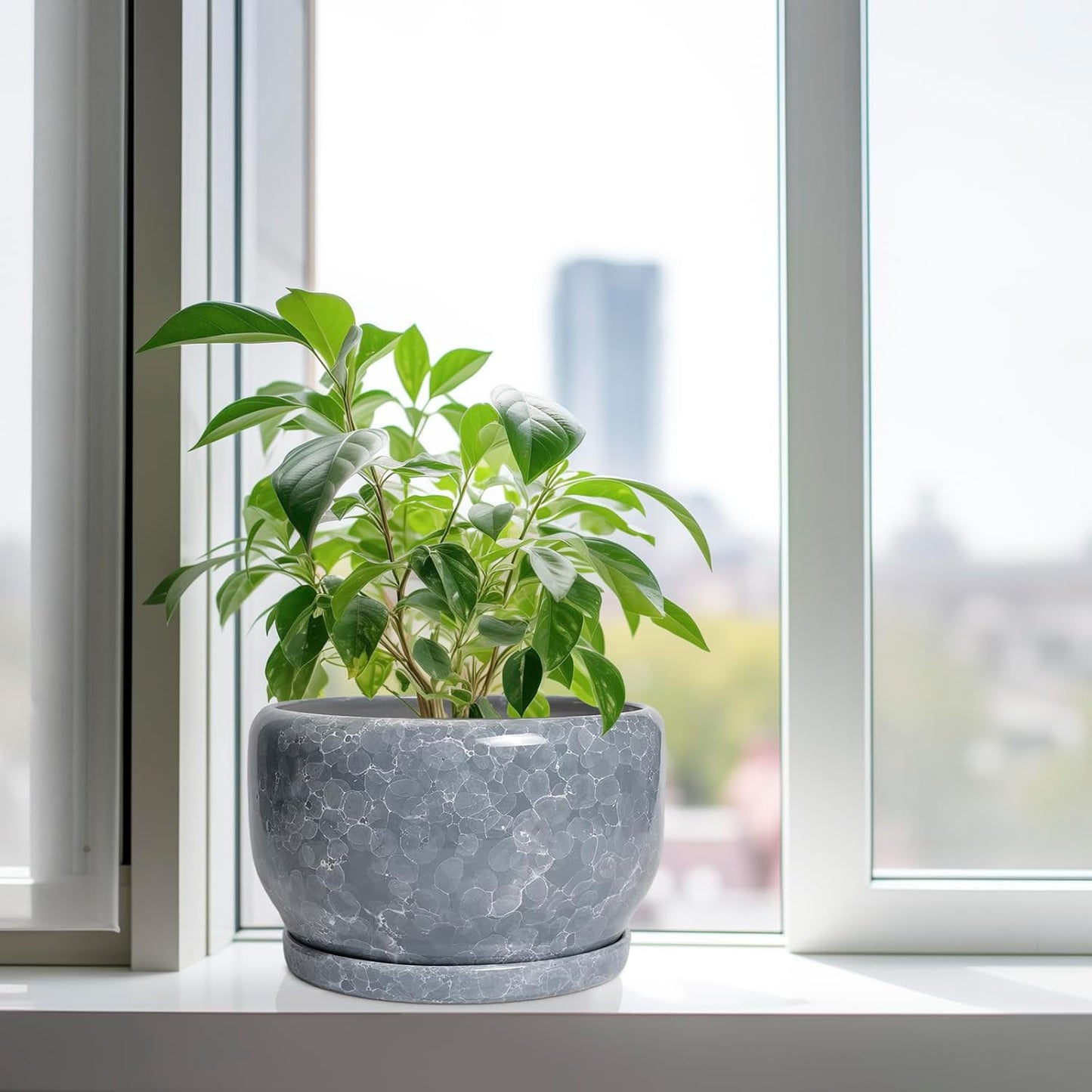 SQOWL Ceramic Pot for Plants - 10 Inch Plant Pot Indoor with Drainage Hole and Saucer, Round Ceramic Planter, Decorative Large Flower Pot Outdoor, Home Office Room Decor, Garden Gifts, Gray