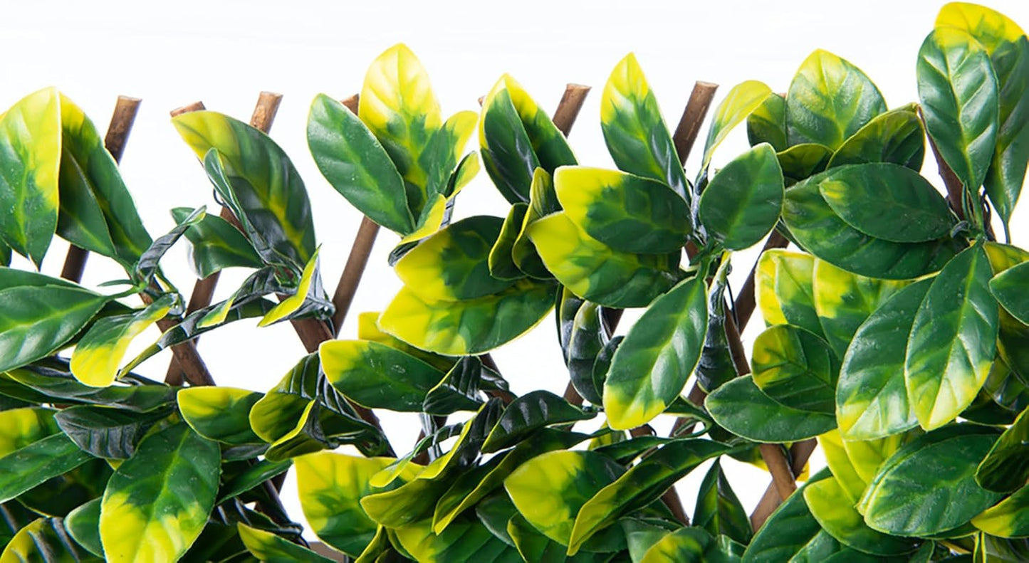 Expandable Willow Trellis - Outdoor Privacy Screen - Sturdy and Flexible - Realistic Look - 40 in x 80 in - Laurel Leaves