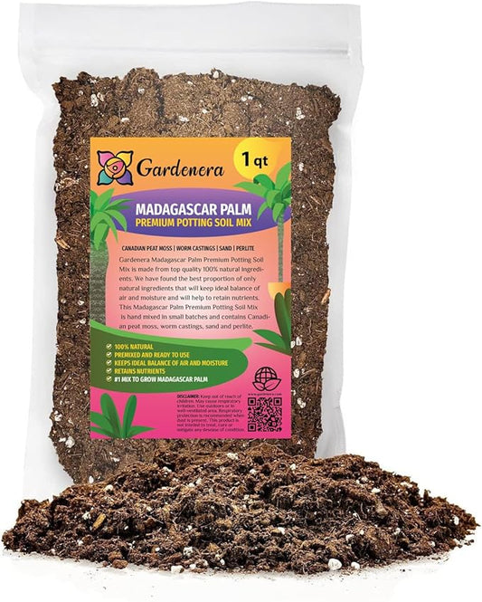 Premium Madagascar Palm Potting Mix - Crafted for Thriving Growth and Unique Elegance - 1 Quart