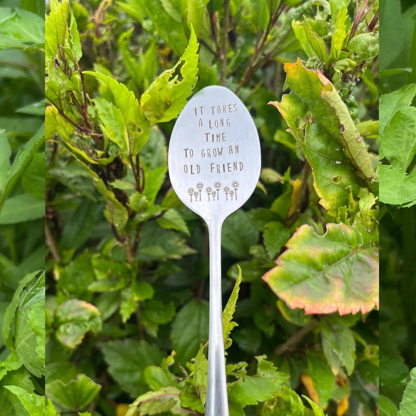 Garden Friendship Gift for Women Gardeners, Plant Marker Stake Label Sign Tag, Gardening Gifts for Woman Plant Lovers, Metal Garden Decoration (Grow an Old Friend-B)
