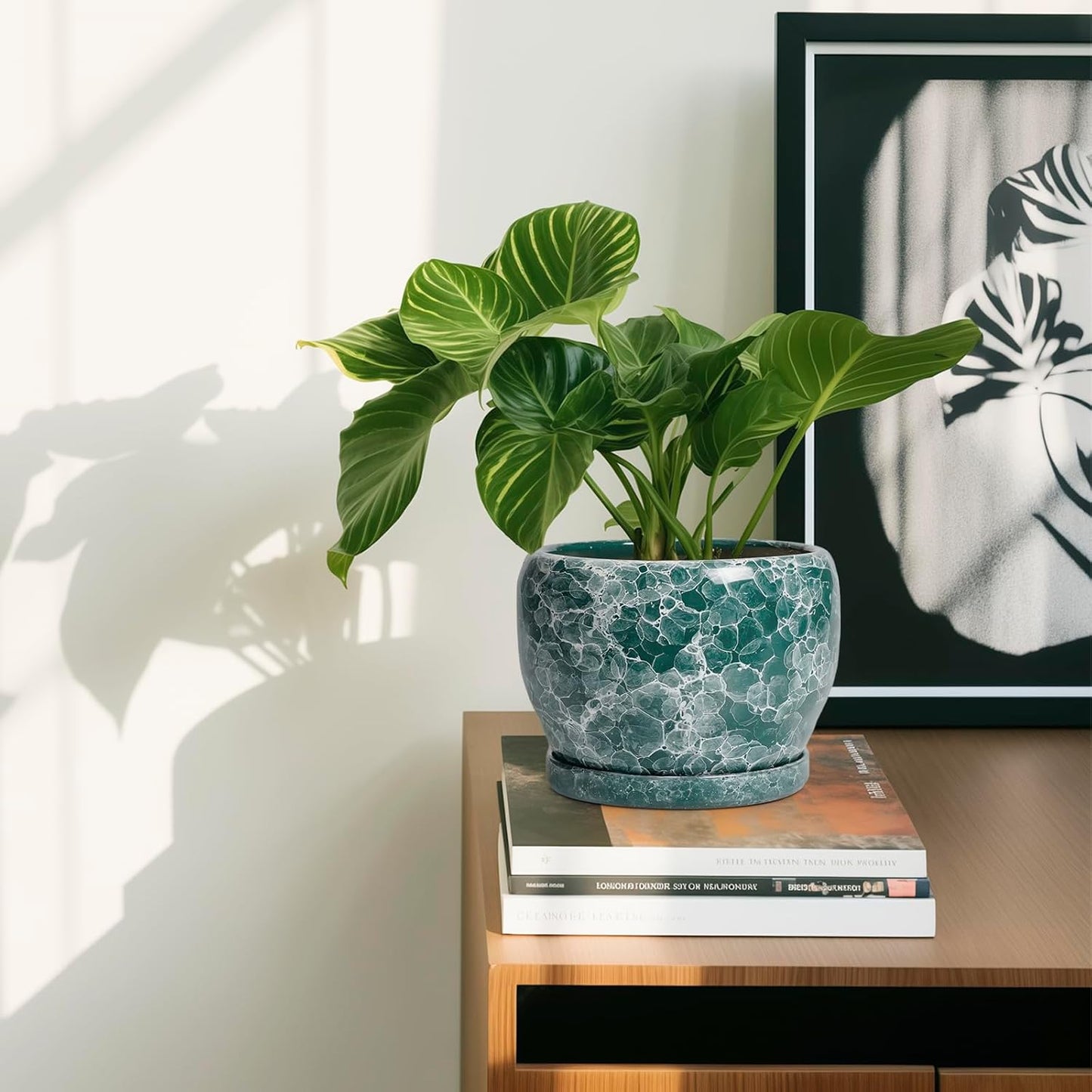 SQOWL Ceramic Pot for Plants - 6 Inch Ceramic Planter with Drainage Hole and Saucer, Round Flower Pot for Indoor Outdoor, Decorative Small Planter, Room Home Decor, Plant Lover Gifts, Green