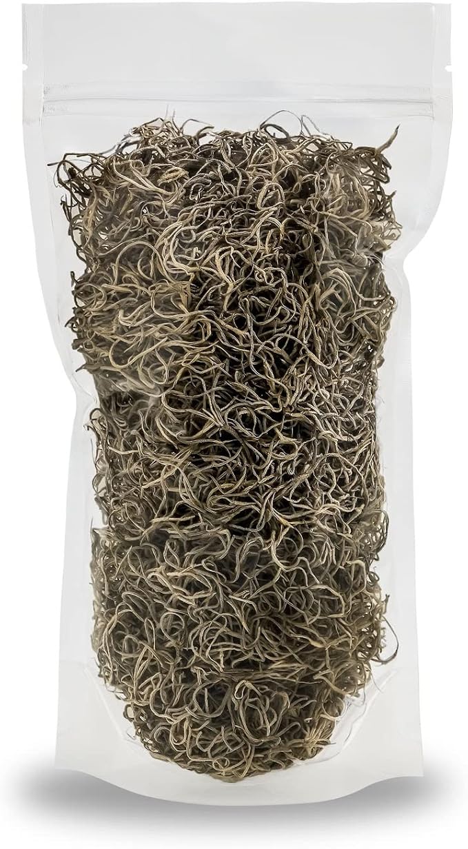 Premium Natural Spanish Moss | Natural Preserved - Great Ground Cover - Filler for Potted Plants - by GARDENERA - 1 Quart Bag