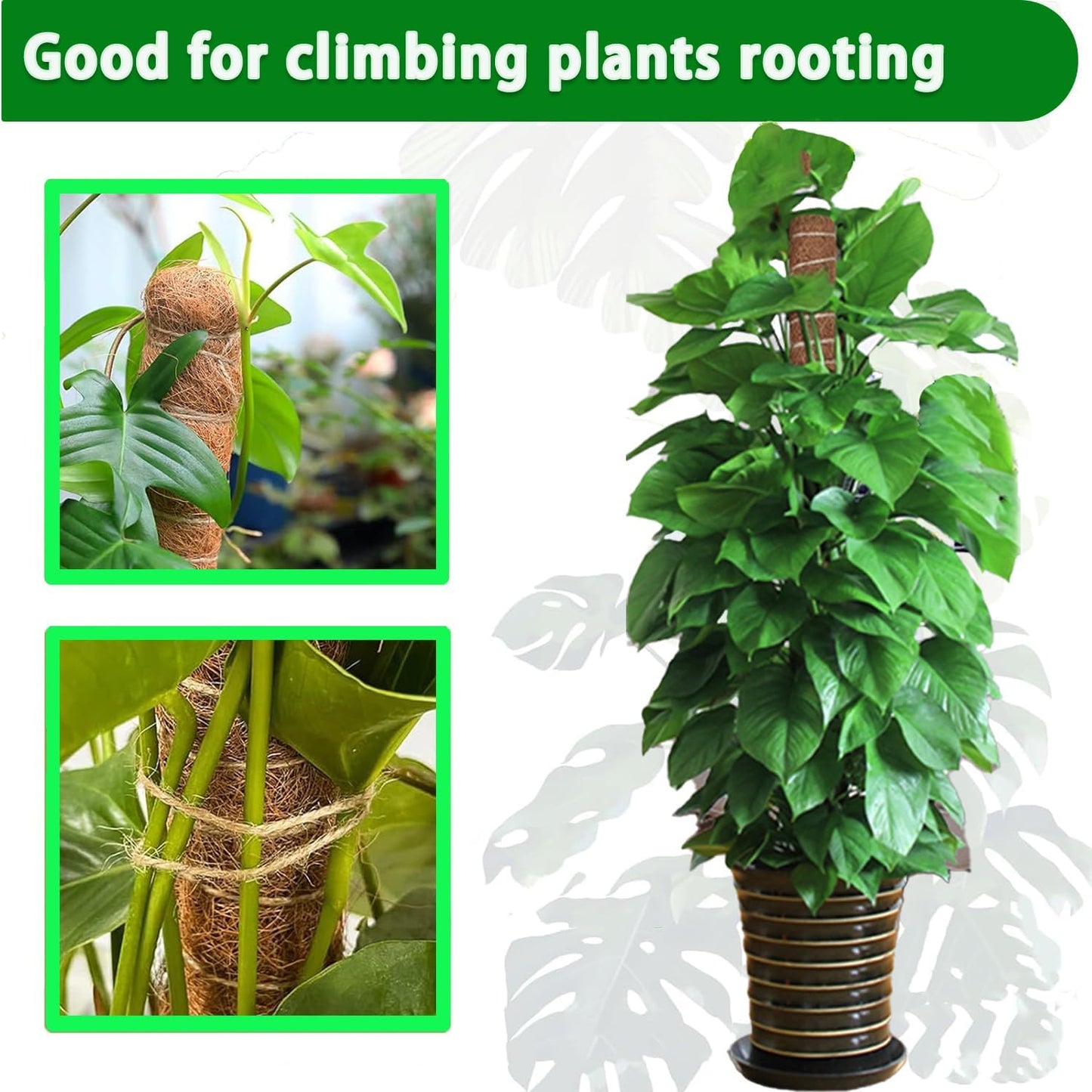 Moss Pole, 4 Pack 17Inch Monstera Plant Support for Climbing Plants Accessories Indoor -Stackable Moss Poles Plant Support Stakes -Coir Plant Pole Sticks for Potted Plants -Pothos, Tall Plant Trellis