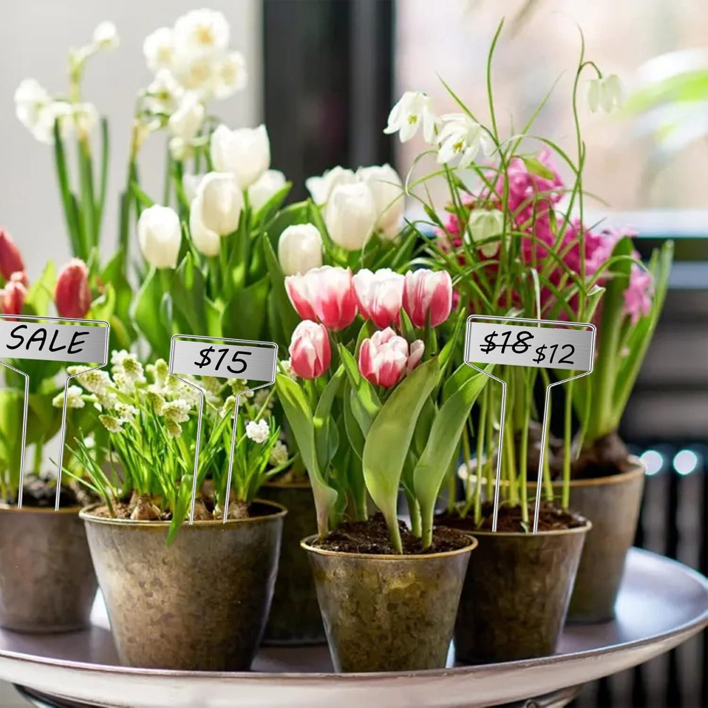 30pcs Plant Labels Plant Markers for Outdoor Plants 6inch Plant Labels for Seedlings Outdoor Garden Waterproof Plant Tags and Labels for Flower Vegetable Herbs Greenhouse (6 in, Silver)