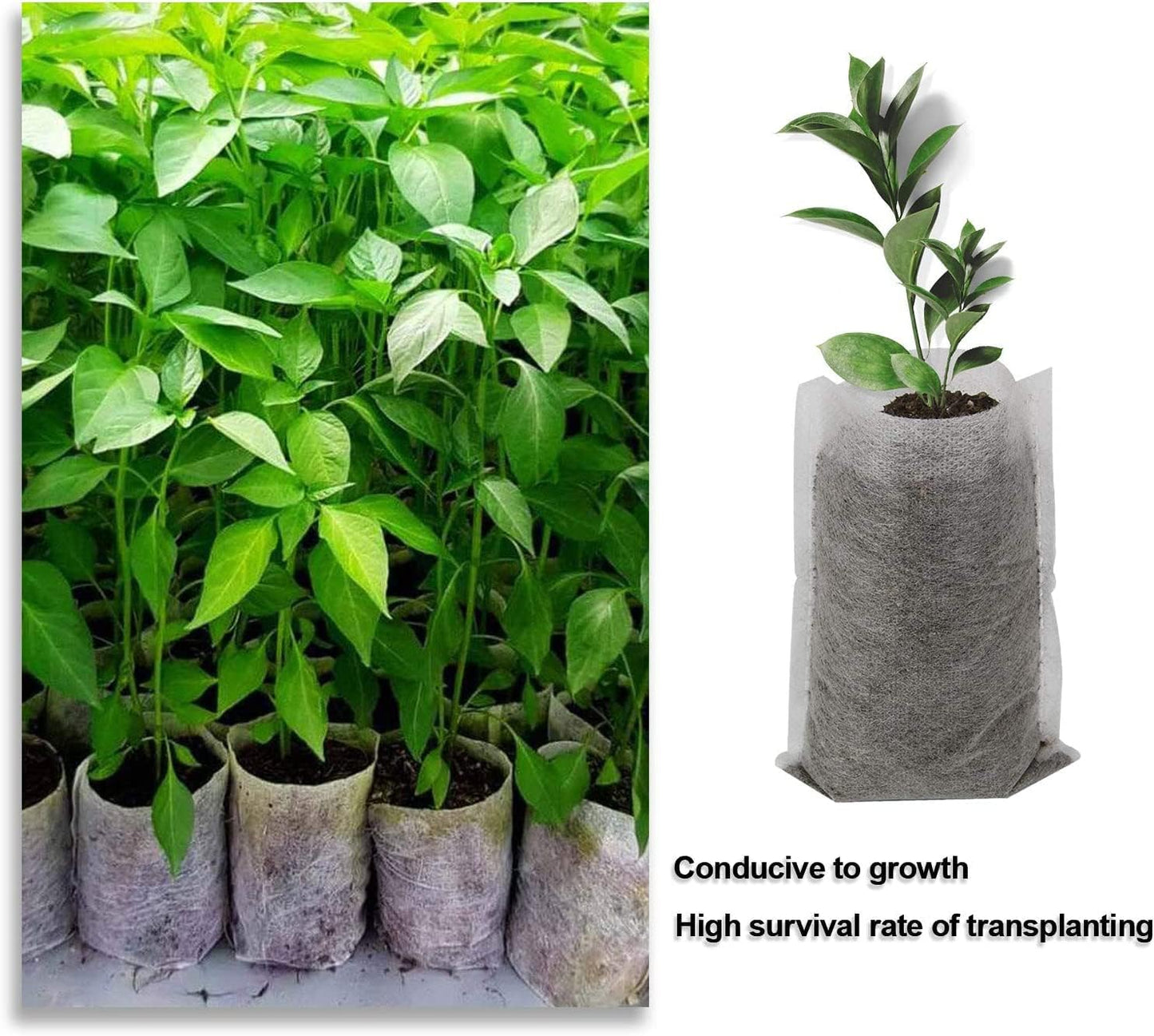 Augshy Grow Bags, 400pcs Plant Bags, Non-Woven Plants Nursery Bags, Seeding Bags, Fabric Seedling Pots Plants, Home Garden Outdoor Greenhouse Supplies 11x11cm/4.2"x4.2"