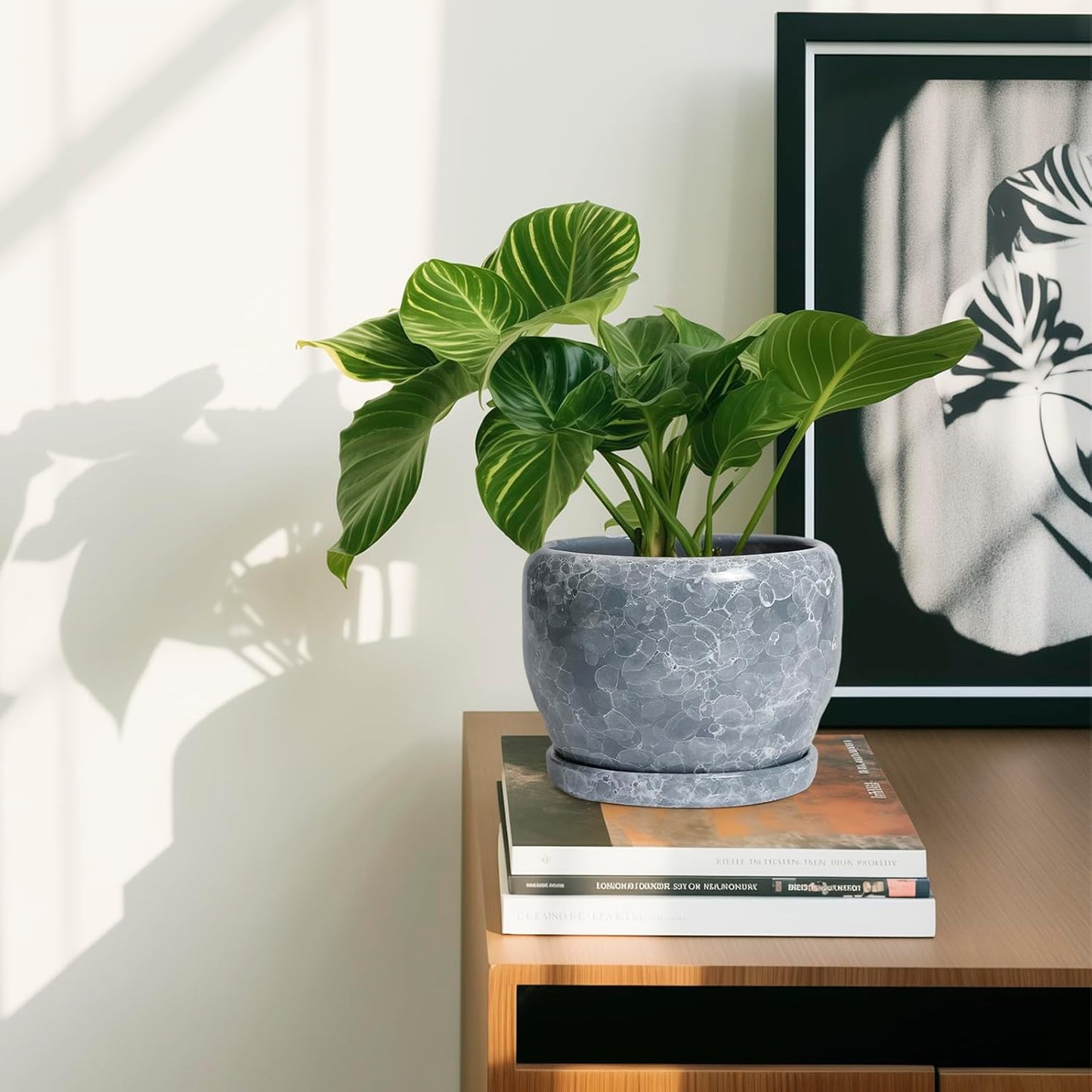 SQOWL 6 Inch Plant pots Indoor - Ceramic Planter with Drainage Hole and Saucer, Ceramic Flower Pot Outdoor, Decorative Round Planter, Home Decor Living Room, Gifts for Plant Lovers, Gray