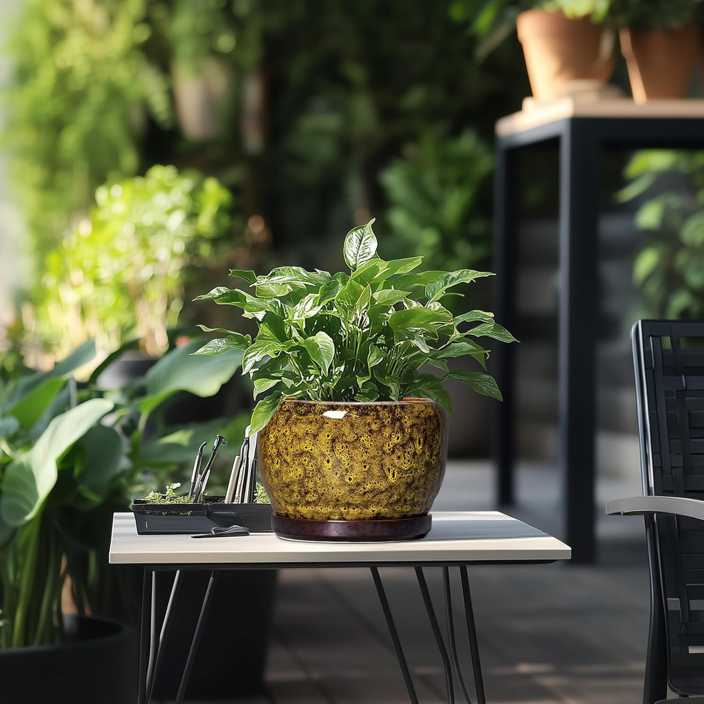 SQOWL Ceramic Flower Pots - 8 inch Ceramic Planter for Indoor Plants, Decorative Plant Pots with Drainage Hole and Saucer, Round Planter Outdoor, Porch Backyard Decor, Housewarming Gifts, Yellow