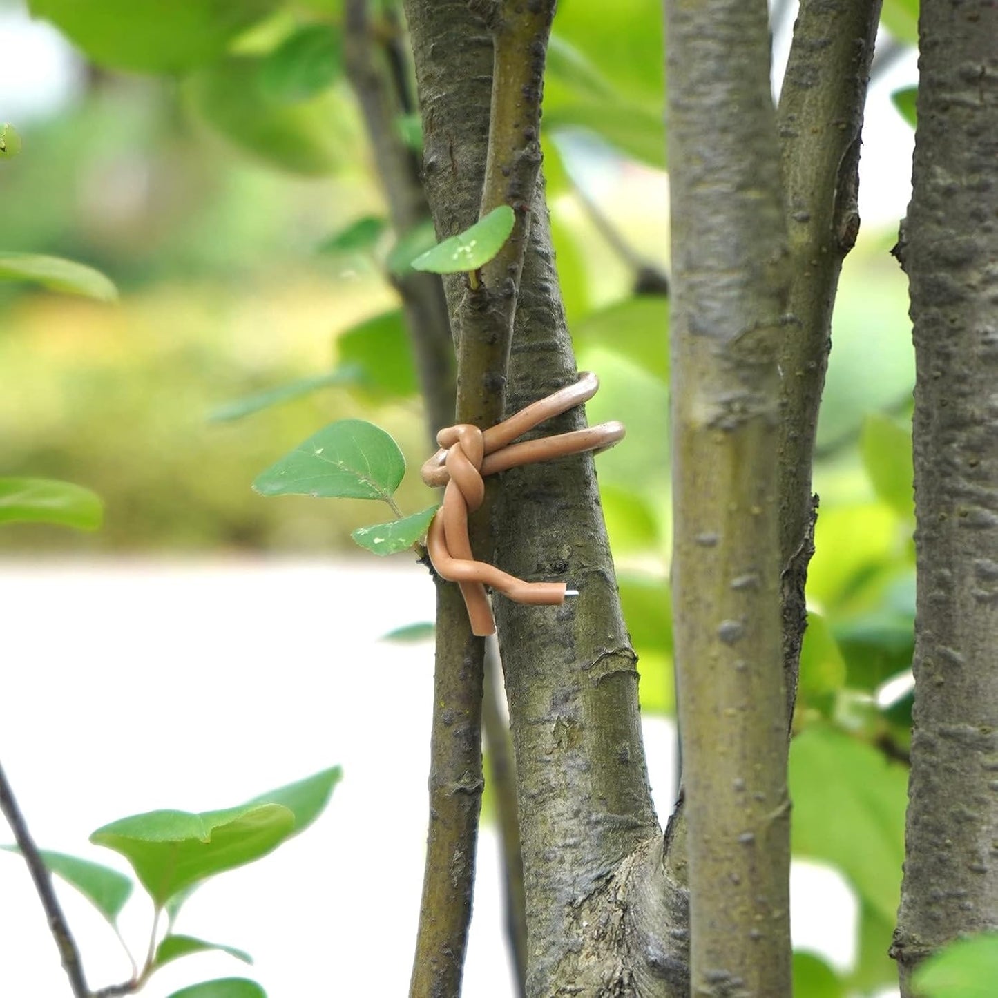 Decoroca Soft Plant Ties for Support - 65.6' Reusable Waterproof Plant Wire, 3.5mm Garden Twist, Office Organization and Decoration Binding（1pc/Brown）