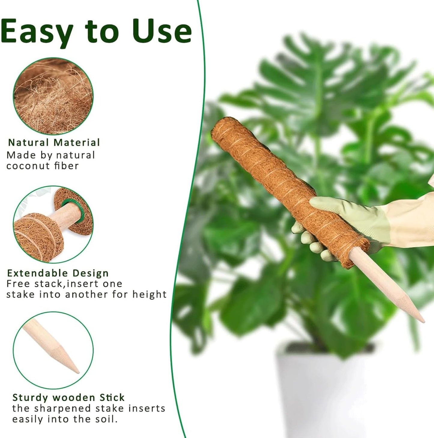 Moss Pole, 2Pack 21 Inch Plant Support Stakes for Indoor Plants, Monstera Plant Support Stakes, 37 Inch Tall Coir Plant Pole Sticks for Potted Plants, Pothos, Philodendron