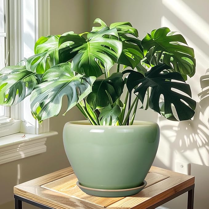 Ceramic Planter Pot - 10 Inch Plant Pot for Indoor Plants Decorative Planter with Drainage Hole and Saucer Large Pot for Plants Outdoor Round Flower Pot for Garden Green