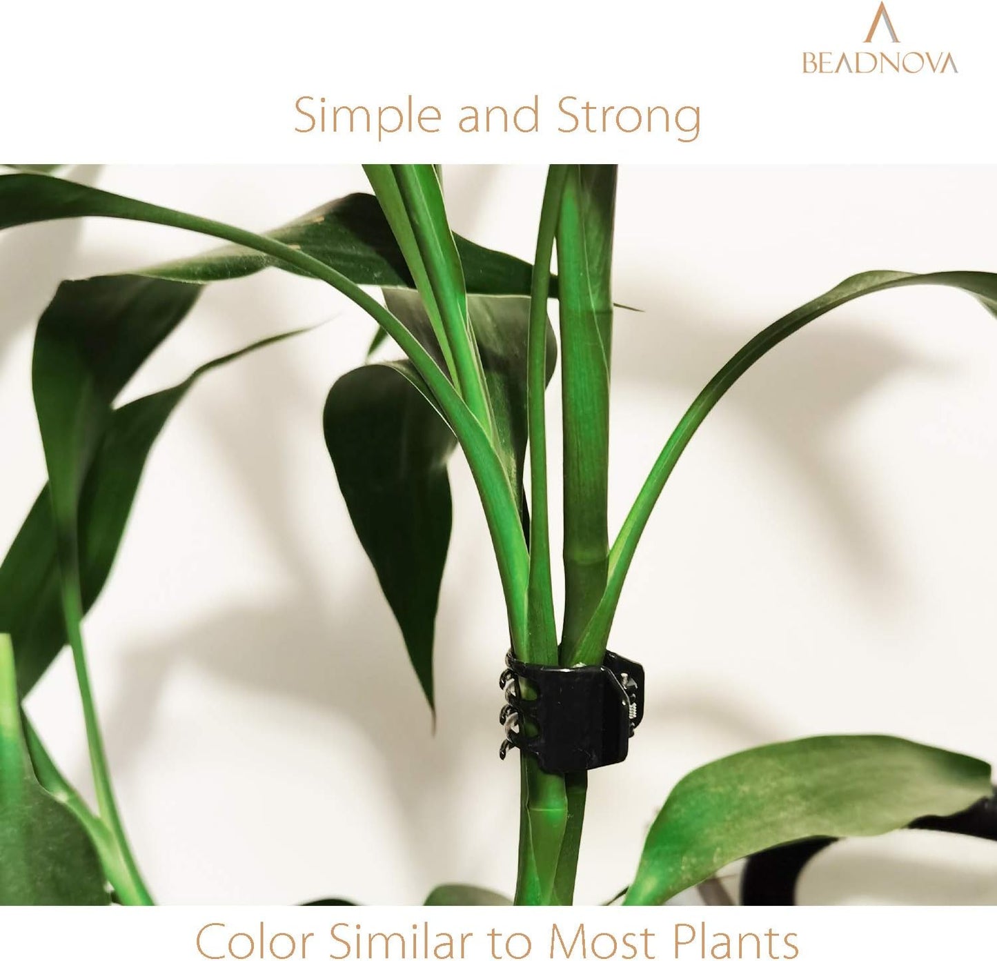 BEADNOVA Plant Clips 50Pcs Large Orchid Clips for Orchid Support Plant Support Flower Vine (2cm, 50PCS)