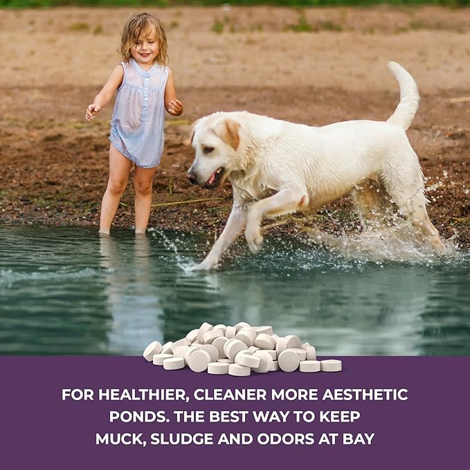 Nature's Core Muck Removal Tablets Natural Pond Sludge Remover, Cleans & Clears Away Muck & Sludge, Safe for The Environment, Treats 1,500 Sq Ft, 3 Month Supply, 8 Scoops, 4 lb