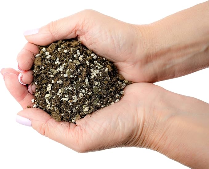 Premium African Violets and Gesneriad Premium Soil Mix by Gardenera - Horticultural Perlite (25%) + Vermiculite (25%) + Sphagnum Peat Moss (50%) - Made in USA - (4 Quart Bag)