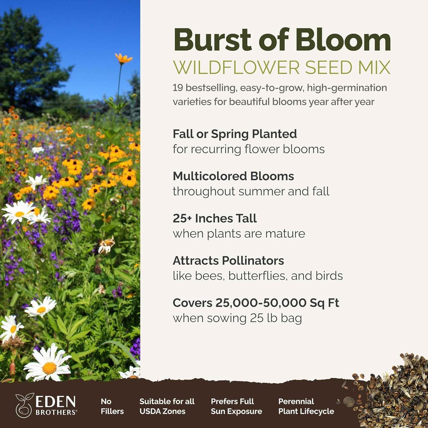 Eden Brothers Burst of Bloom Wildflower Mixed Seeds for Planting, 25 lb, 12,000,000+ Seeds with Cosmos, Black Eyed Susan | Attracts Pollinators, Plant in Spring or Fall, Zones 3, 4, 5, 6, 7, 8, 9, 10