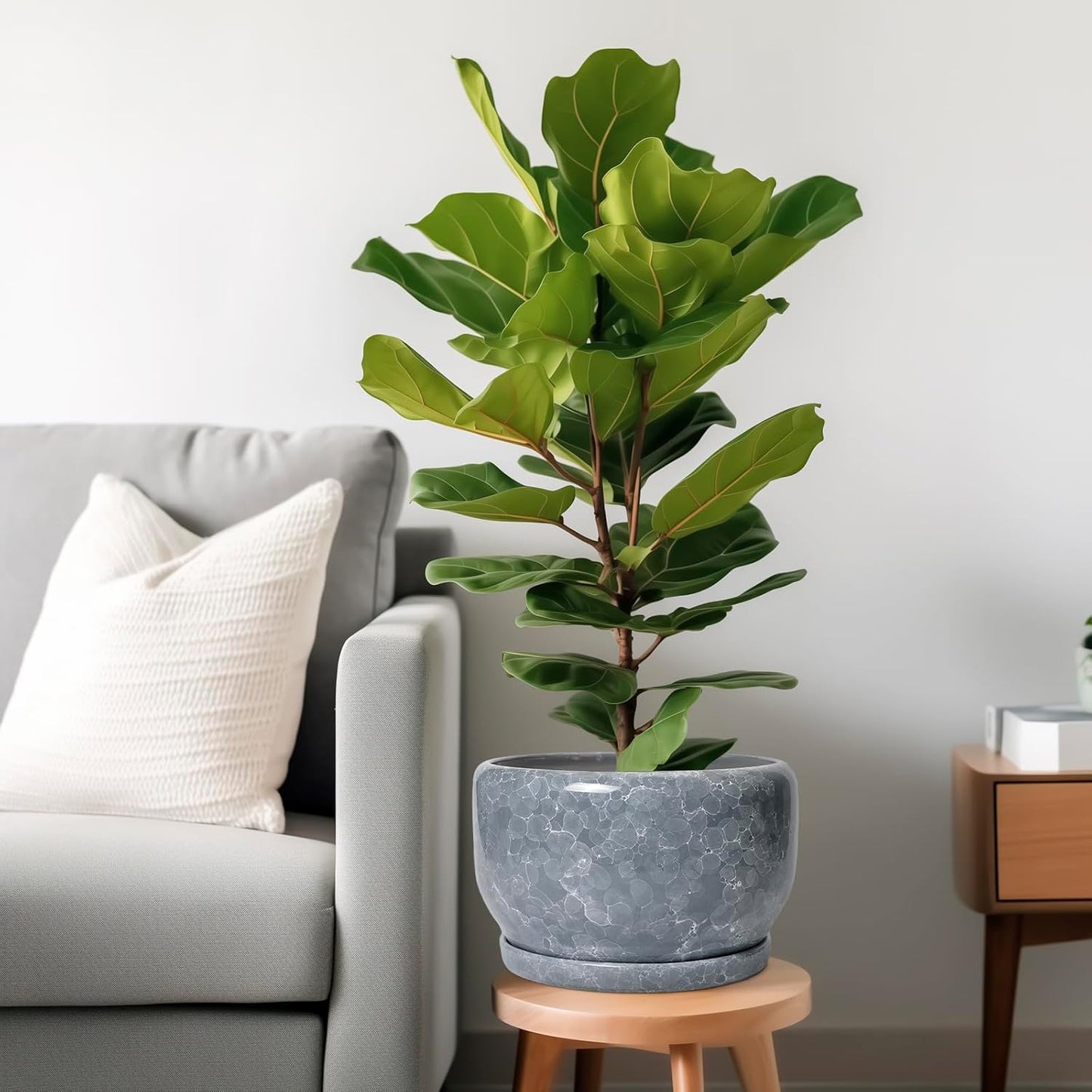 SQOWL Ceramic Pot for Plants - 10 Inch Plant Pot Indoor with Drainage Hole and Saucer, Round Ceramic Planter, Decorative Large Flower Pot Outdoor, Home Office Room Decor, Garden Gifts, Gray