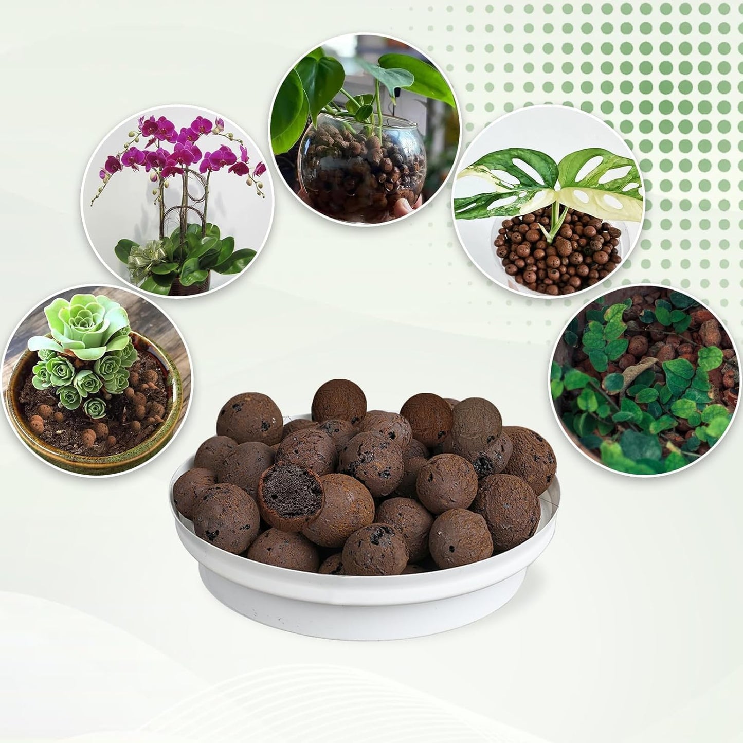 Expanded Clay Pebbles for Plants 1qt, Natural Organic Expanded Grow Media for Hydroponics, Drainage, Decoration, Aquaponics and Other Gardening Essentials