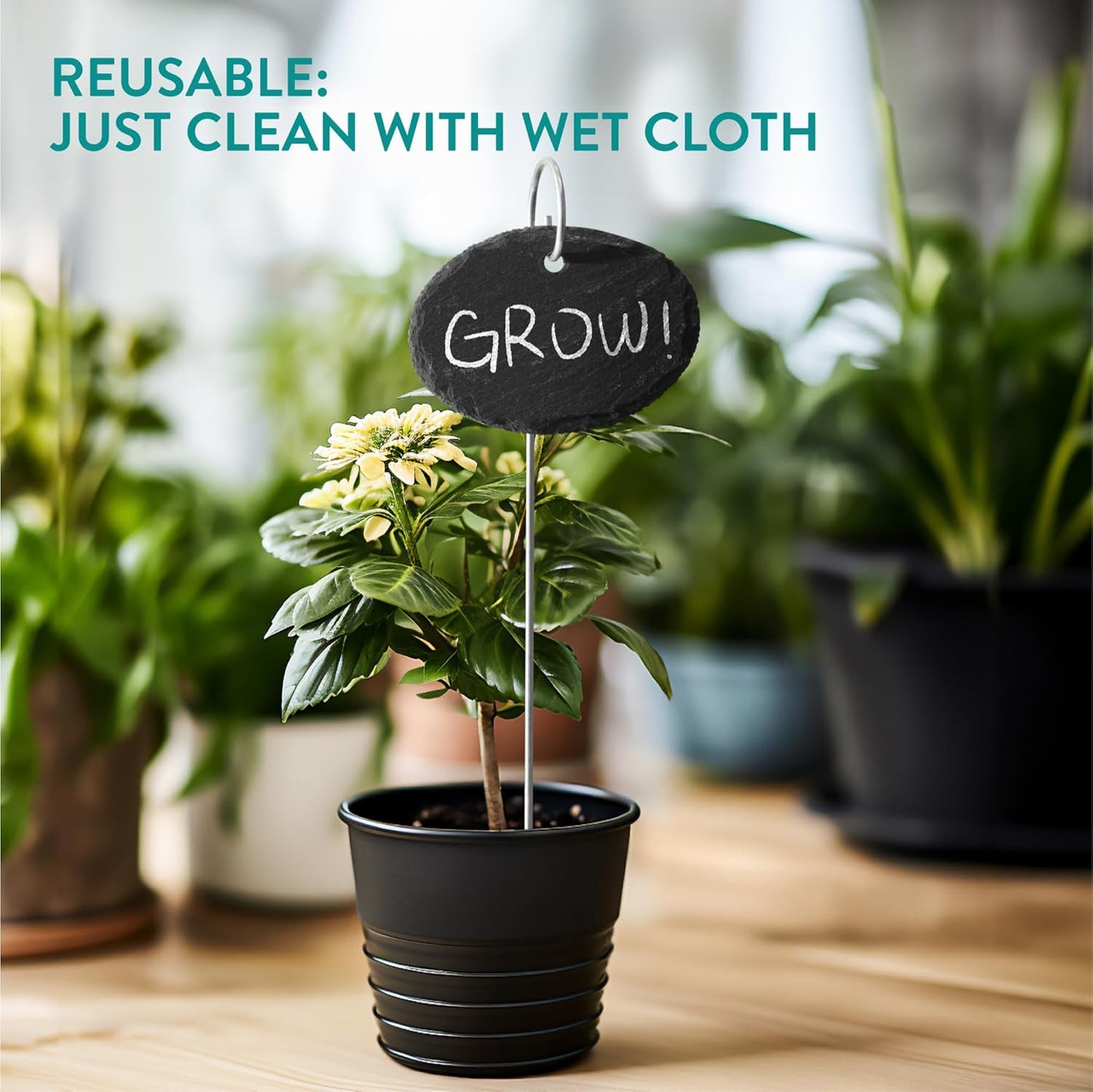 Navaris Slate Plant Labels (15 Pieces) - Garden Marker Label Signs with Stakes - Markers for Plants, Vegetables, Herb Gardens - with Chalk Pencils - Oval