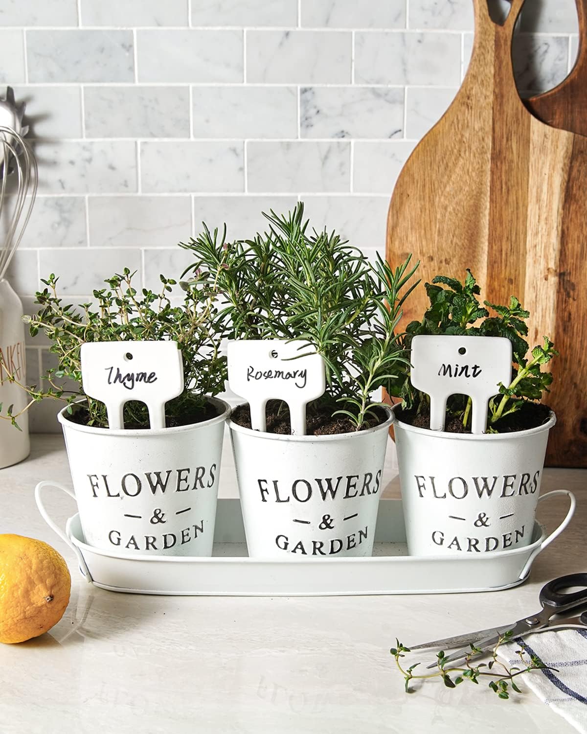 Plant Labels, Ceramic Garden Markers, Herbs Succulent Name Tags, Supplies for Seeding Pot Potted Plants Raised Bed, Indoor & Outdoor, Reusable Waterproof - Set of 12, White