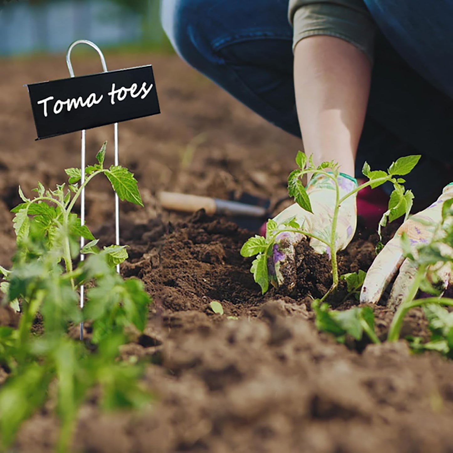 Plant Labels Metal Stainless Steel Garden Plant Markers Weatherproof Stake Tag Garden Plant Tags with Pen for Outdoor Seedling Flower Herb Vegetable Greenhouse(30 Pack) (Black)