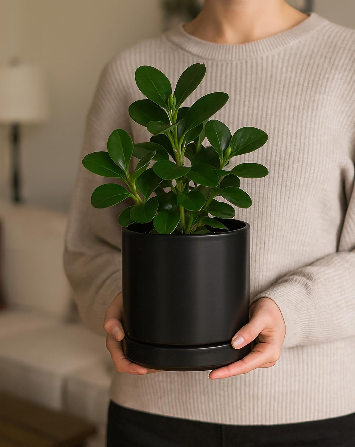 D'vine Dev Set of 2 Plants Pots, 6.5 Inch Ceramic Planter Pot for Plants with Drainage Hole and Saucer, Black, 94-V-C-2