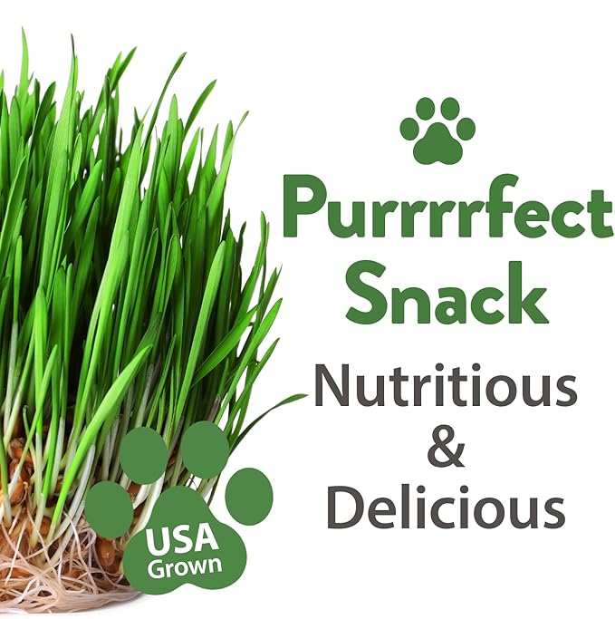 HOME GROWN Cat Grass Seed Mix – Non-GMO Oat, Alfalfa, Rye & Wheat Seeds for Cats | Indoor Pet Grass with Fast Germination | Digestive Aid, Hairball Relief & Safe Chew Alternative