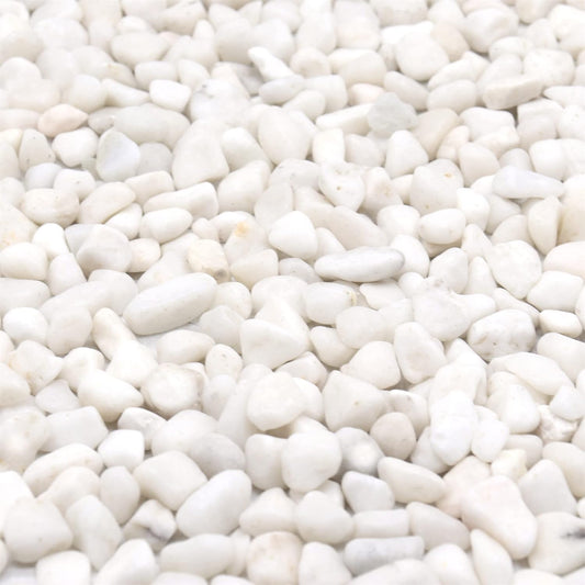 White Rocks for Plants. White Decorative Polished Pebbles. 3/8 Inch – 10lbs for Plants,Garden, Landscaping, Succulents, pots, Plants (XSM (0.375 Inch), White - Lightly Polished, 10)
